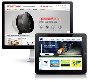 安防行业网站建设